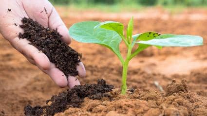 fertilizer product 2